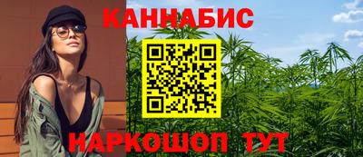 jwh Камышлов